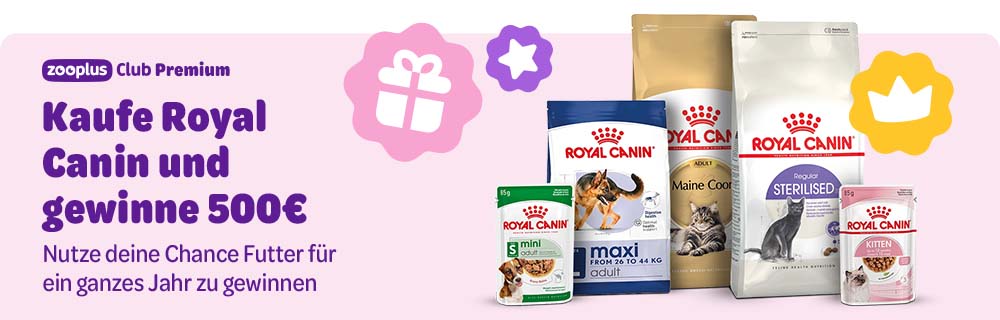 zooplus Club Premium: Kaufe Royal Canin und gewinne 500€. Nutze deine Chance Futter für ein ganzes Jahr zu gewinnen.