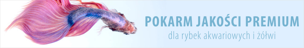PG 2 / Fish general banner