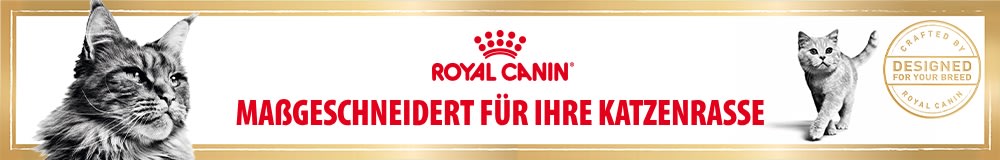 Royal Canin Breed Futter für Rassekatzen