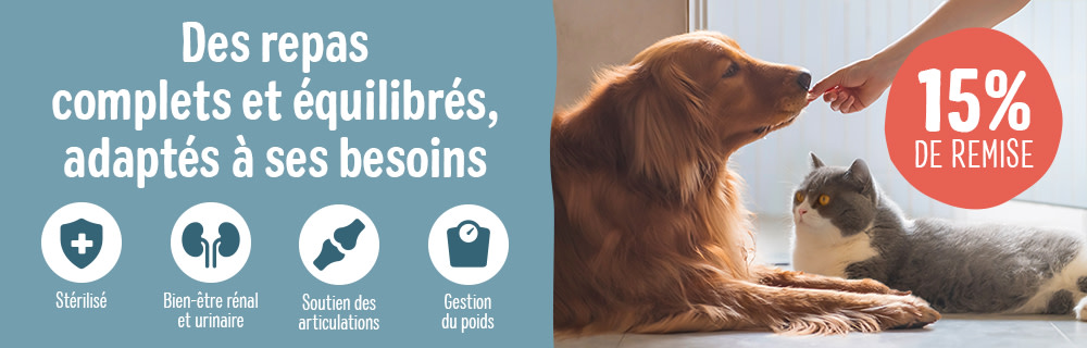 Offrez une nutrition sur-mesure à votre animal