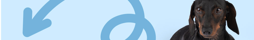 EXTRA voucher la jucăriile selectate TIAKI, Nomad Tales și zooplus exclusive pentru cuțu!