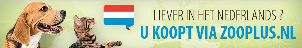 LIEVER IN HET NEDERLANDS ?