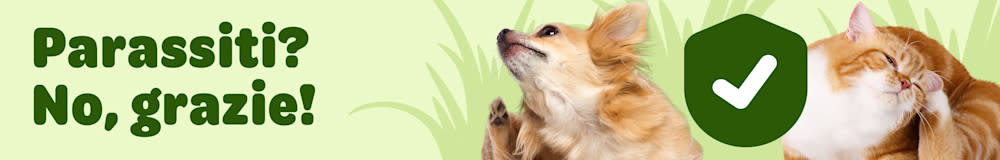 Scopri i nostri antiparassitari per cani e gatti!