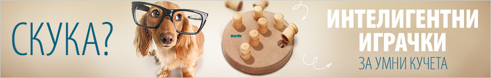 Играчки за интелигентност и занимавки