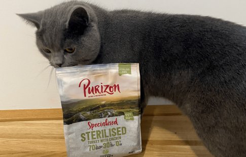 Yoshi priporoča Purizon suho hrano za mačke
