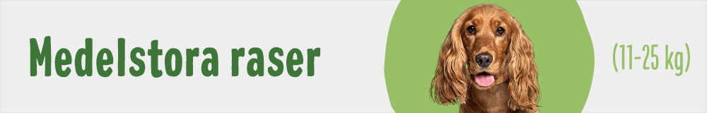 Medelstora raser