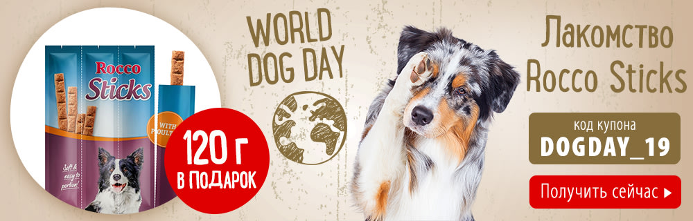 Всемирный день собак