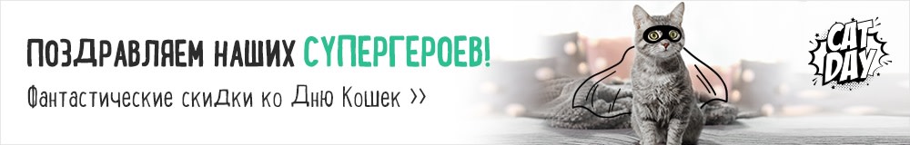 Всемирный день кошек!