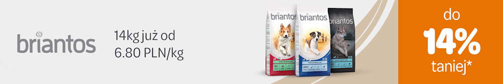 Ceny: w dół Humor: w górę 