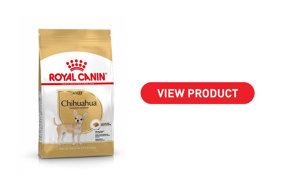 Royal canin chihuahua dry dog outlet food