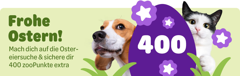 Frohe Ostern! Mach dich auf die Ostereiersuche & sichere dir 400 zooPunkte extra!