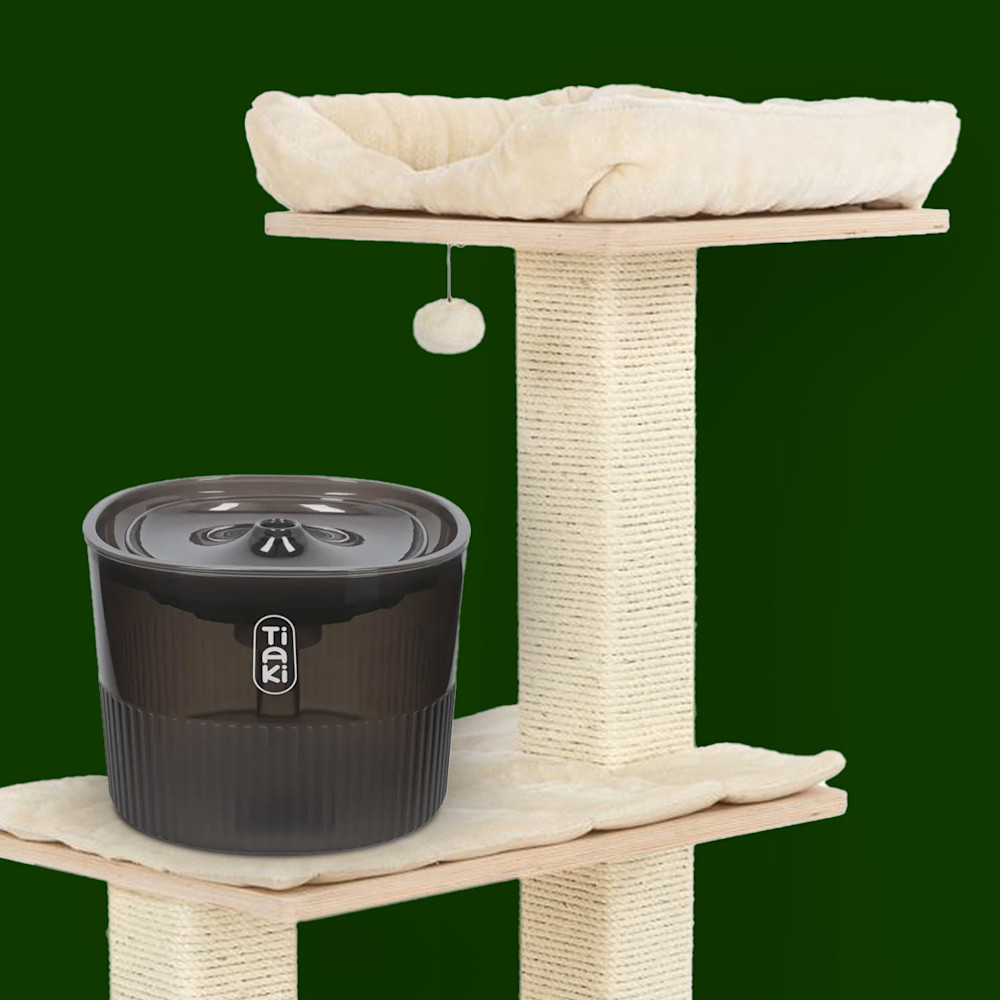 Tillbehör för katt