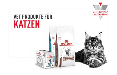Royal Canin Vet Produkte für Katzen