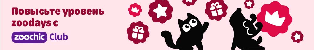 Повысьте уровень с zoochic Club