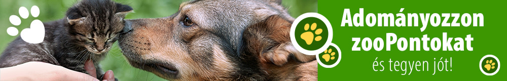 Adományozzon zooPontokat!