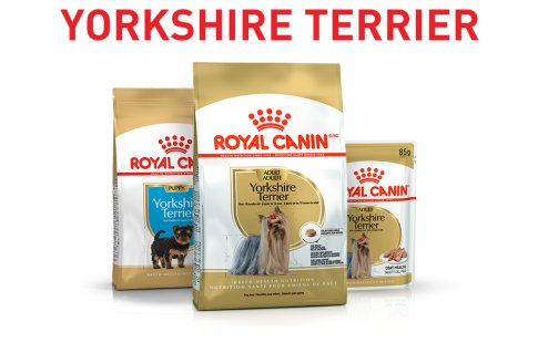 Royal Canin Breed Nutrition Subpage - Autres produits de la gamme - Image