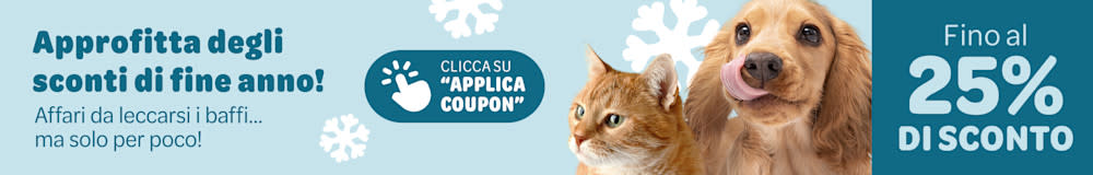 Sconti fino al 25% con la svendita di fine anno.