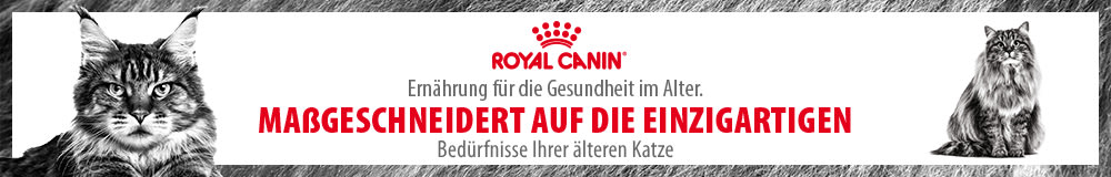 Royal Canin Katzenfutter für Seniorkatzen