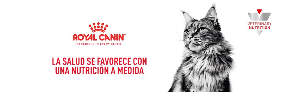 Royal Canin Veterinary para gatos