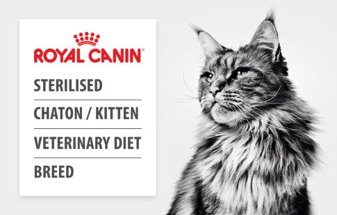 Aliments Royal Canin pour chat >