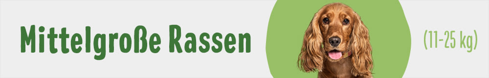 Mittelgroße Rassen