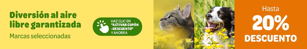 Hasta 20 % de descuento en accesorios