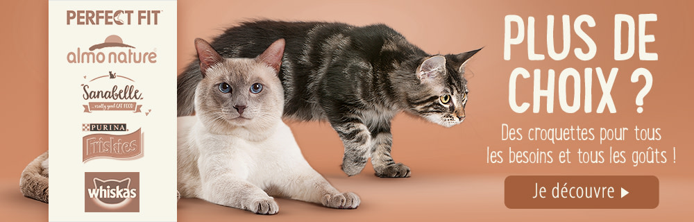 Découvrez plus de choix de marques de croquettes !