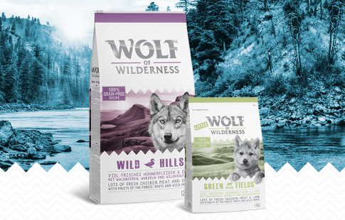 Wolf of Wilderness Classics