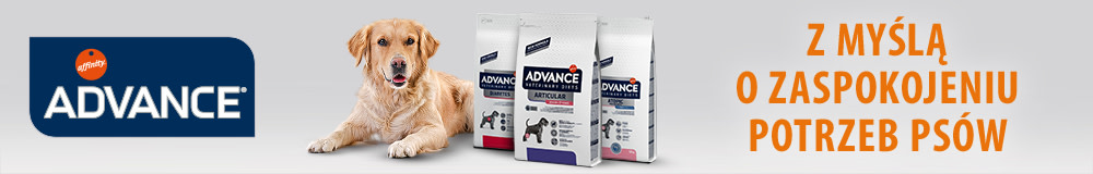 Z myślą o zaspokojeniu potrzeb psów