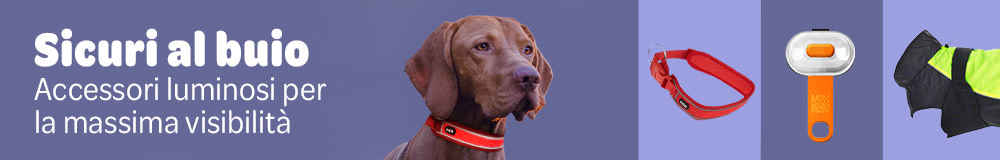 2023 09 Darkness Mood D 1000x160 IT