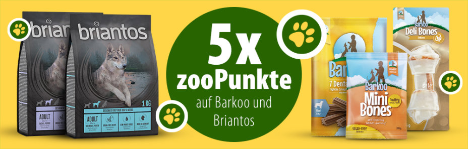 5x zooPunkte auf Barkoo & Briantos