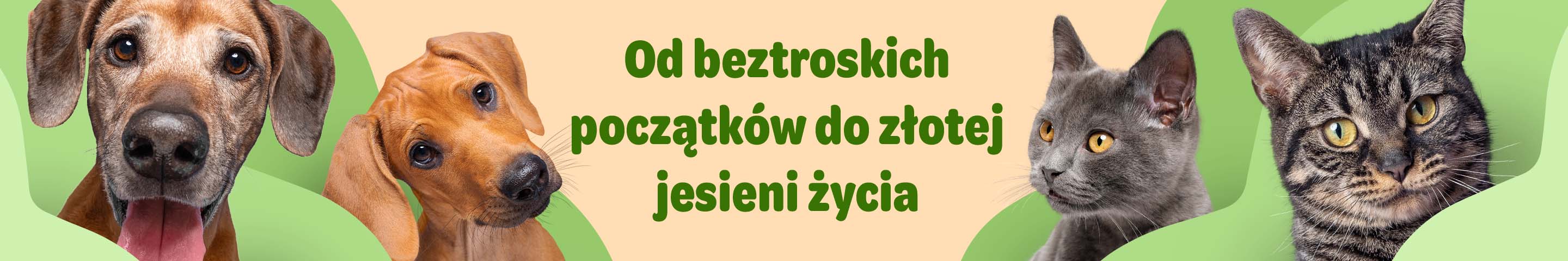  Od beztroskich początków do złotej jesieni życia