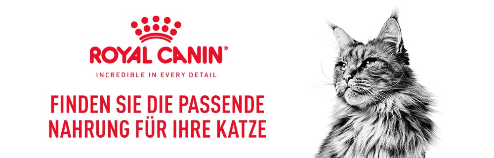 Royal Canin Produkte für Katzen