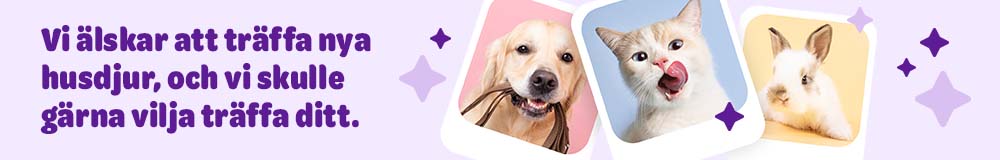 Vi älskar att träffa nya husdjur, och vi skulle gärna vilja träffa ditt.