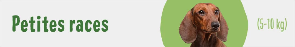 Petites races