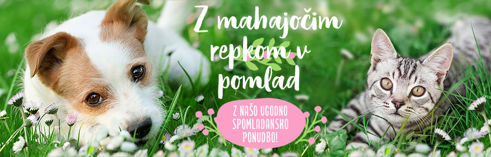 Preverite našo ugodno spomladansko ponudbo