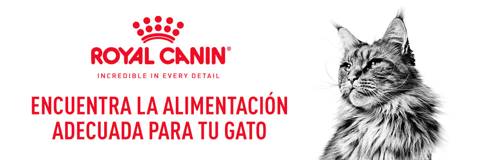 Royal Canin para gatos