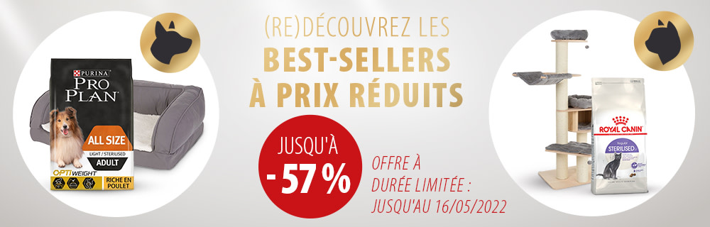Redécouvrez les bestsellers à prix réduits