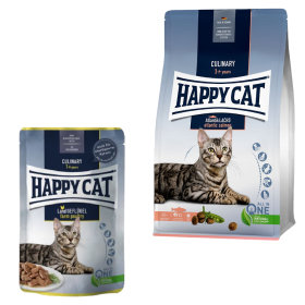 Tutto Happy Cat