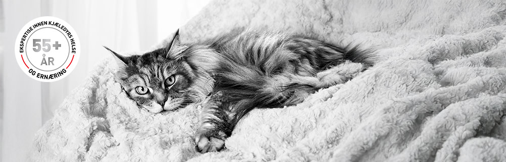 Over 55 år med ekspertise innen dyremat