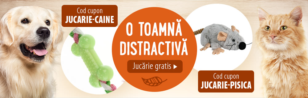 Jucării gratis