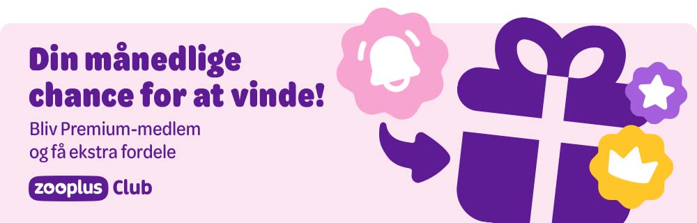 Din månedlige chance for at vinde