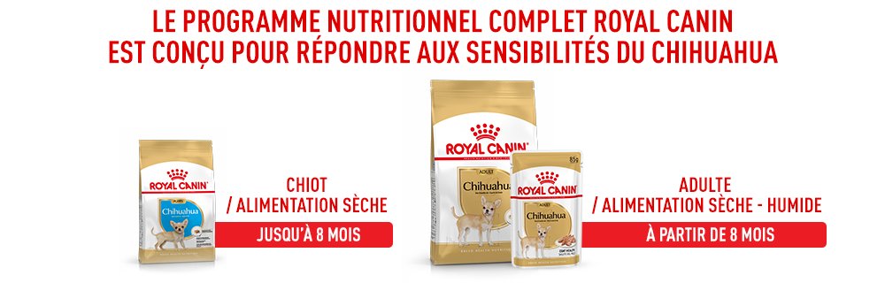 Le programme nutritionnel complet Royal Canin Chihuahua