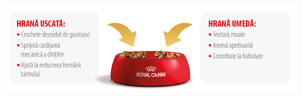 Royal Canin