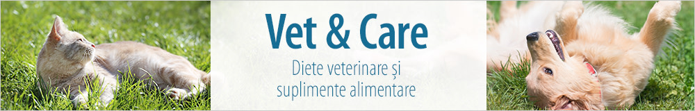 Vet-Shop - diete veterinare pentru câini și pisici