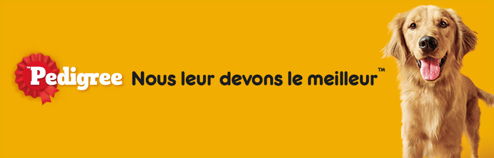 Header Pedigree Philosophie Web