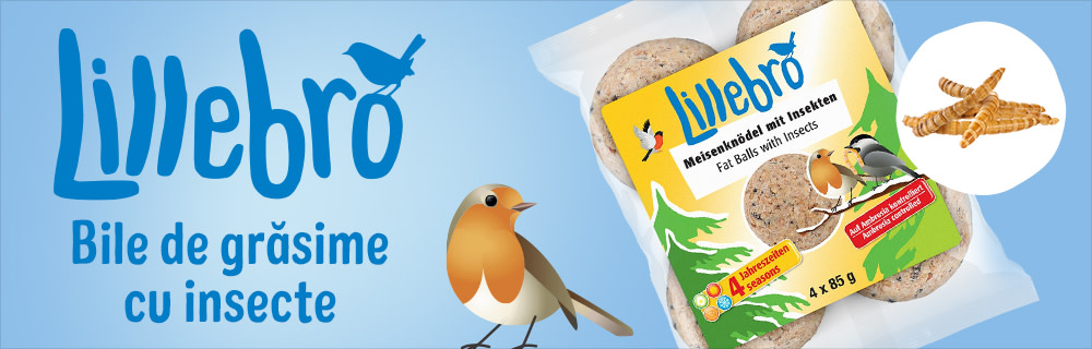 NOU > Lillebro Bile de grăsime cu insecte