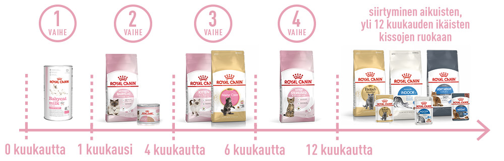 Perfect product for each stage