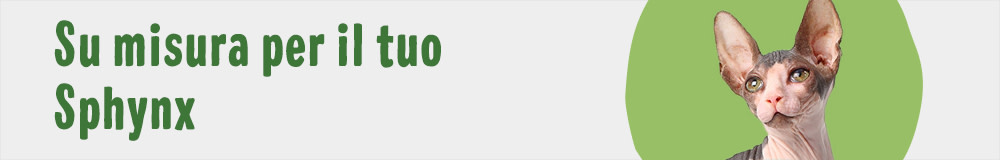 Cat Breed Sphynx 1000x160 IT