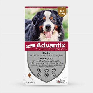 Antiparasitaires Advantix  pour chien 